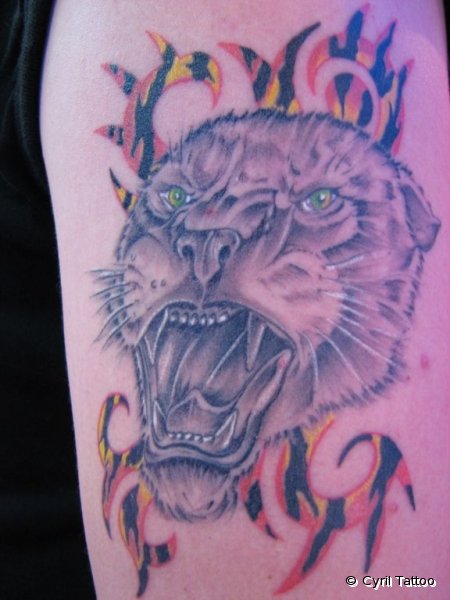 IMG 0733 2 [1024x768]