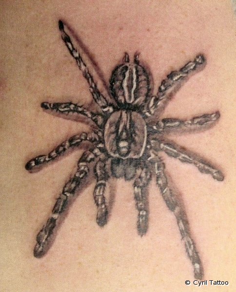 Numériser0050 [1024x768]